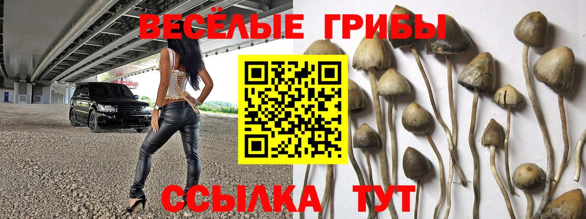 Галлюциногенные грибы Magic Shrooms  где продают наркотики  Обь  Вход с VPN  Псилоцибиновые грибы GOLDEN TEACHER 