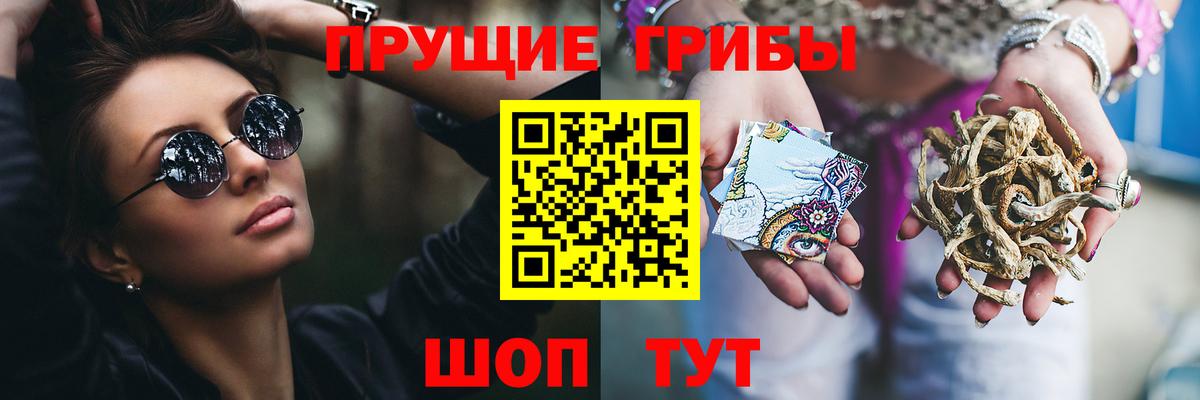 Псилоцибиновые грибы Psilocybe Обь